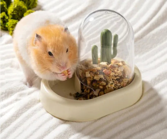 Creative cactus-shaped hamster automatic feeder with transparent food level viewing window