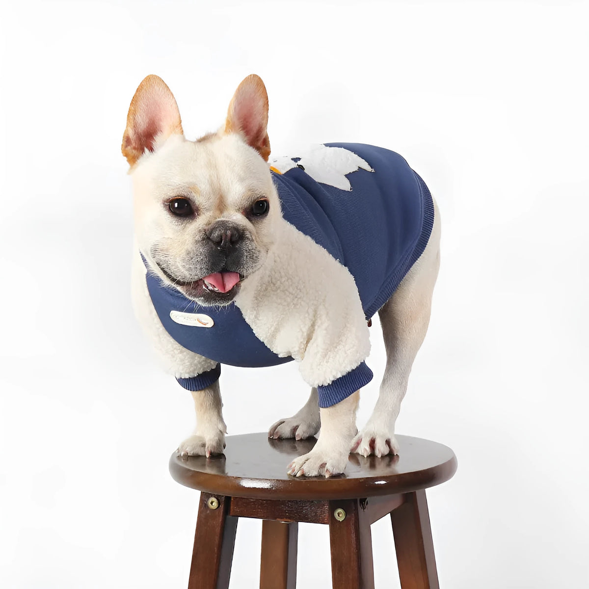 Dark blue fleece-lined dog winter coat in cotton material