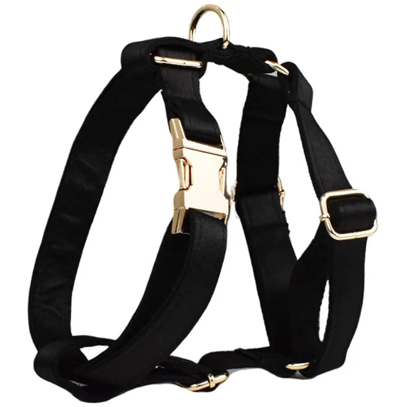 Complete dog walking set with cloth collar, leash, bow, and vest accessories