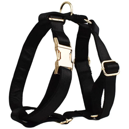 Complete dog walking set with cloth collar, leash, bow, and vest accessories