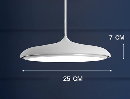 Nordic modern iron LED chandelier with fish-shaped design and adjustable 1.2m height