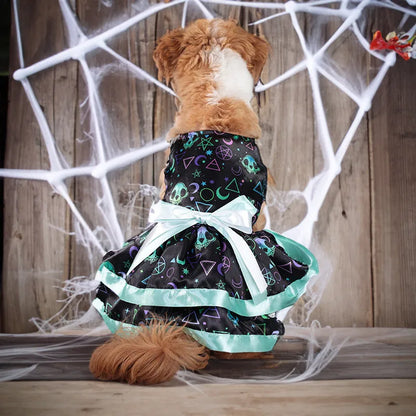 Halloween dog skirt in colourful pumpkin print, double-layer design, size medium on a dog.
