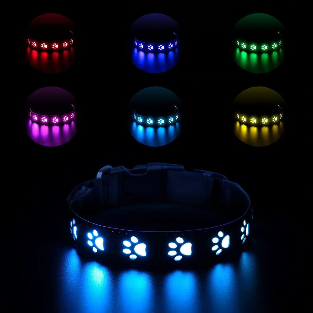Black LED dog collar showing seven coloured lights with USB charging port visible