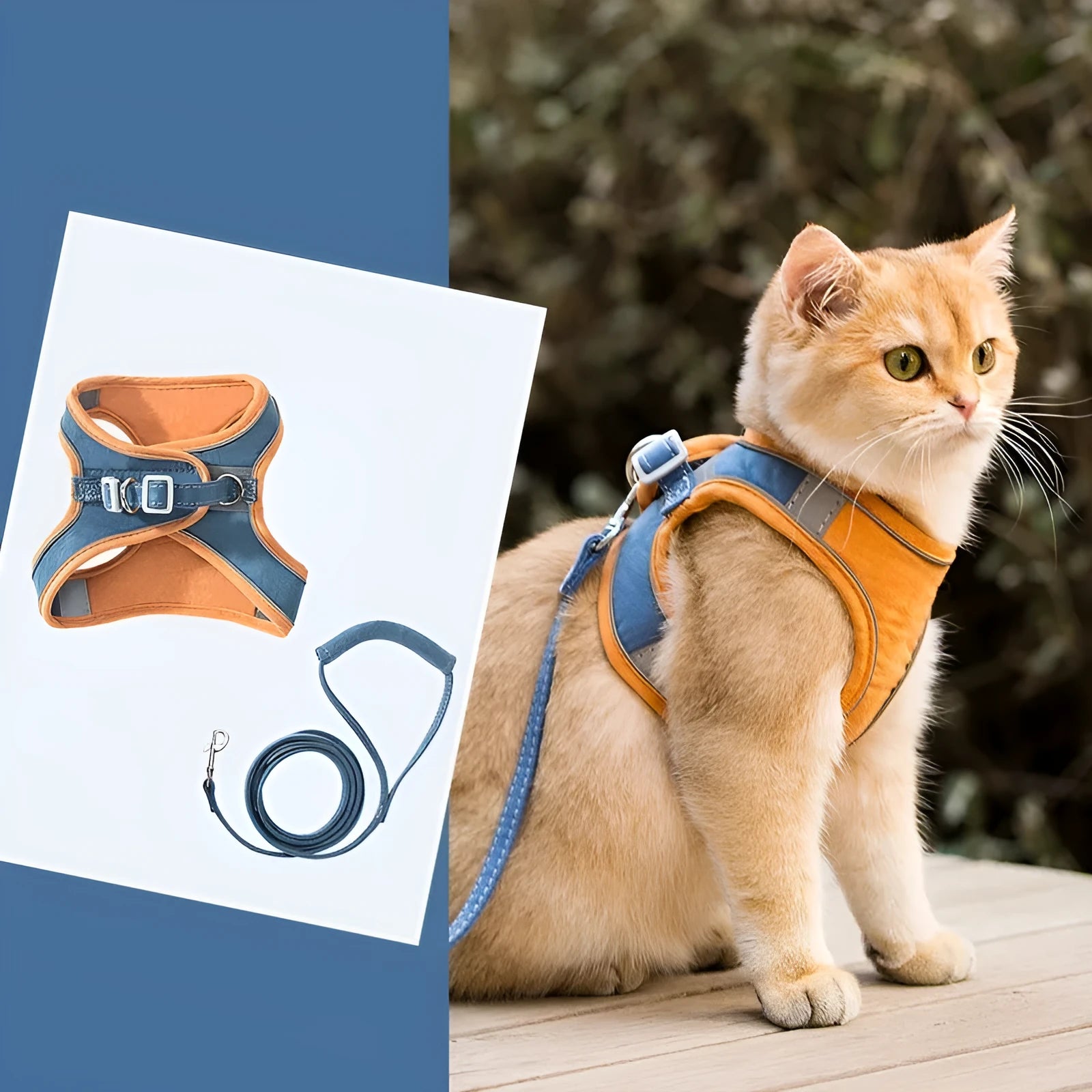 Blue and orange stitched cat harness with reflective chest strap and 1.5 metre rope