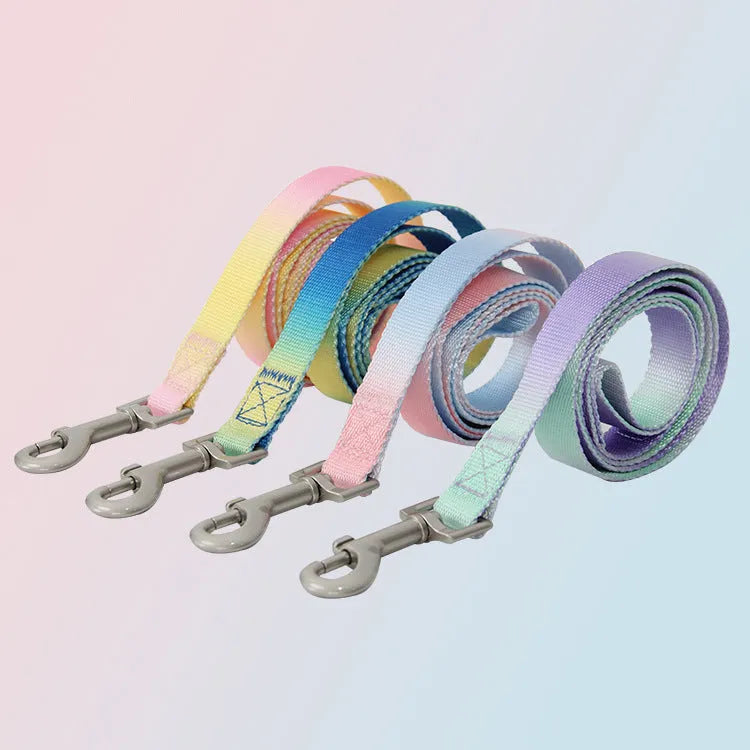 Gradient colour nylon dog leash showing pink-blue colour transition with metal attachment clip