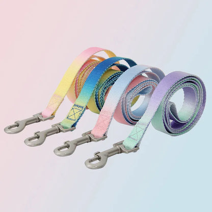 Gradient colour nylon dog leash showing pink-blue colour transition with metal attachment clip