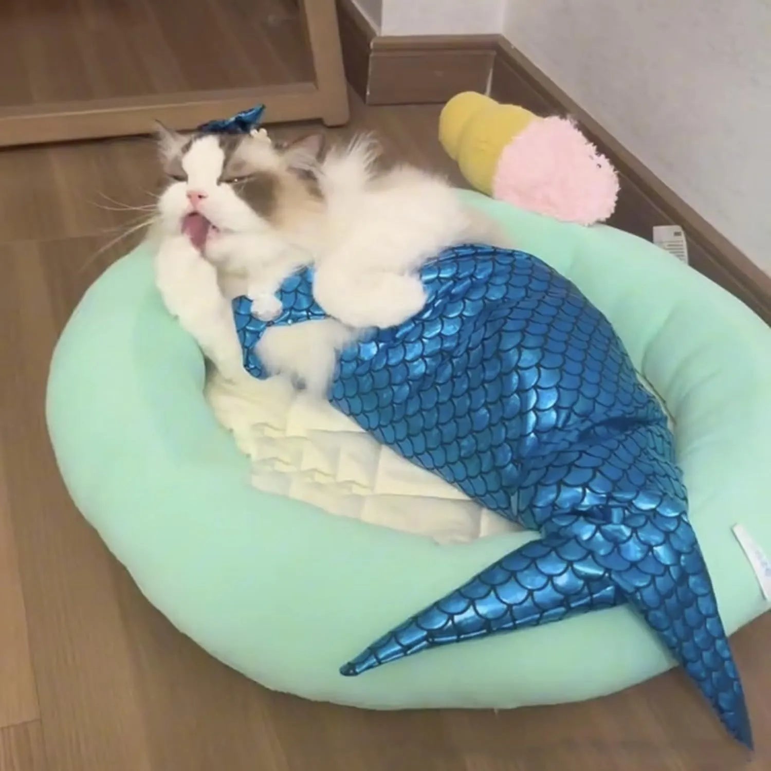 Blue pet mermaid costume with fish tail on a cat, showing scale detail and chest strap.