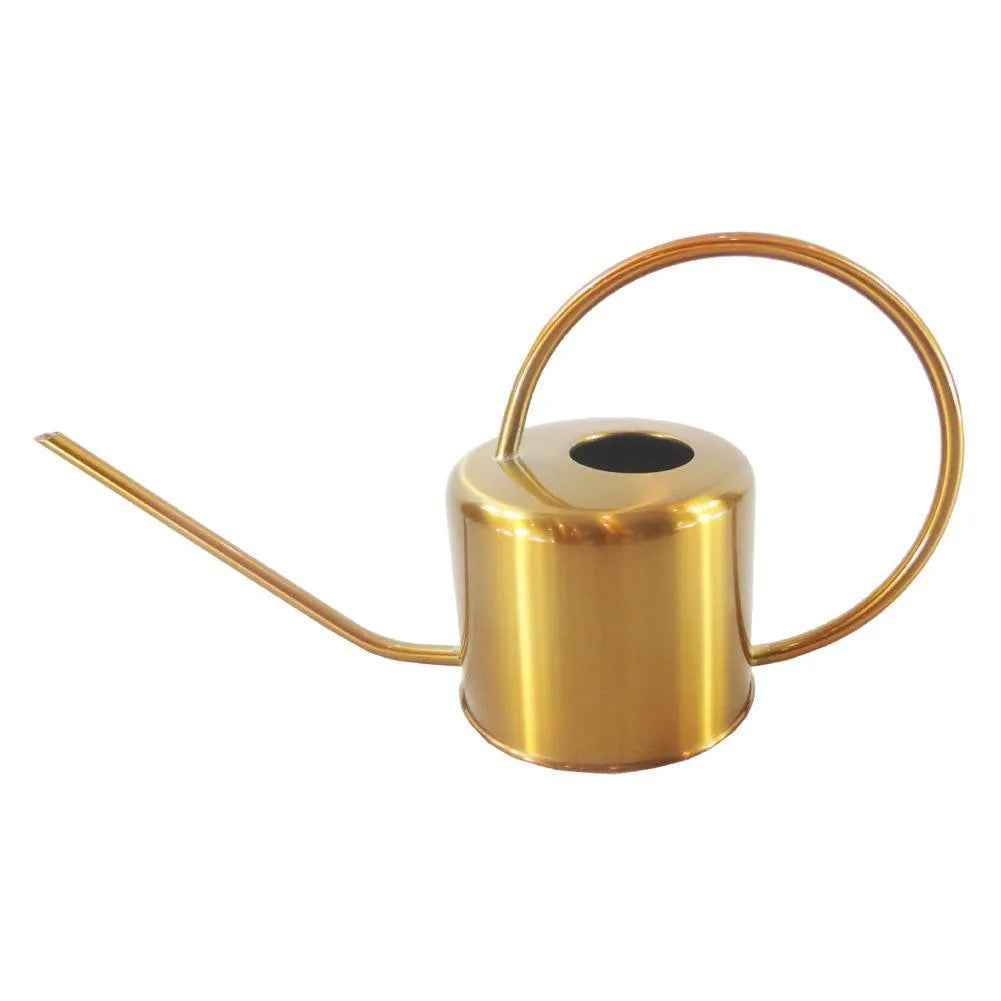 Stainless steel 2 litre watering can with long spout for garden use in black, gold, and stainless steel finishes