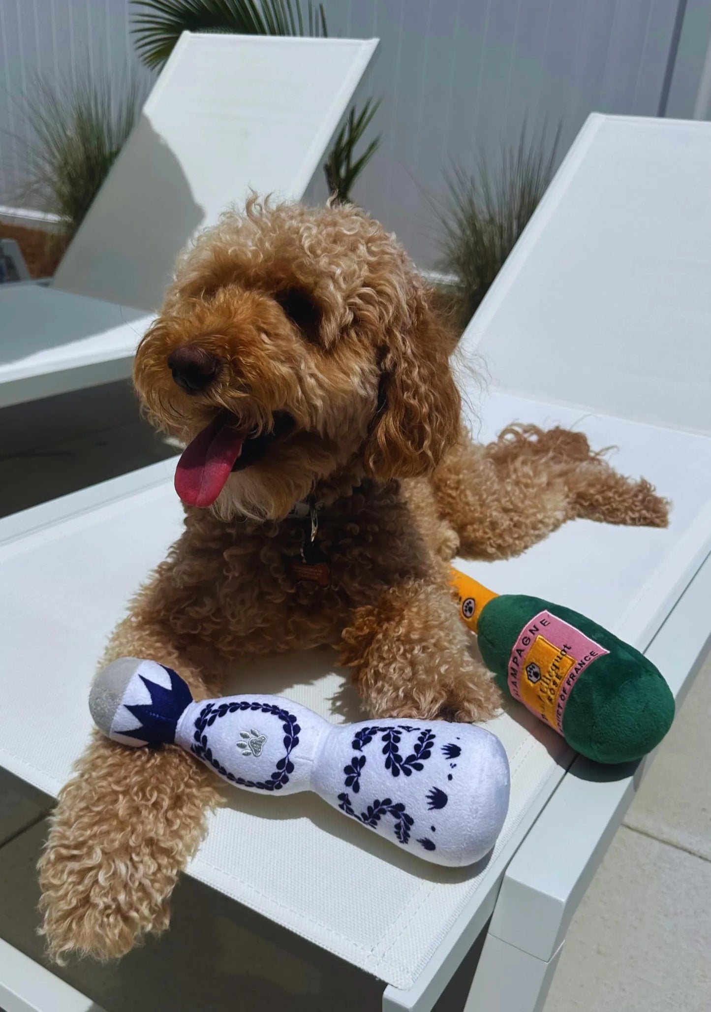 Red and white plush dog toy shaped like a tequila bottle with squeaker