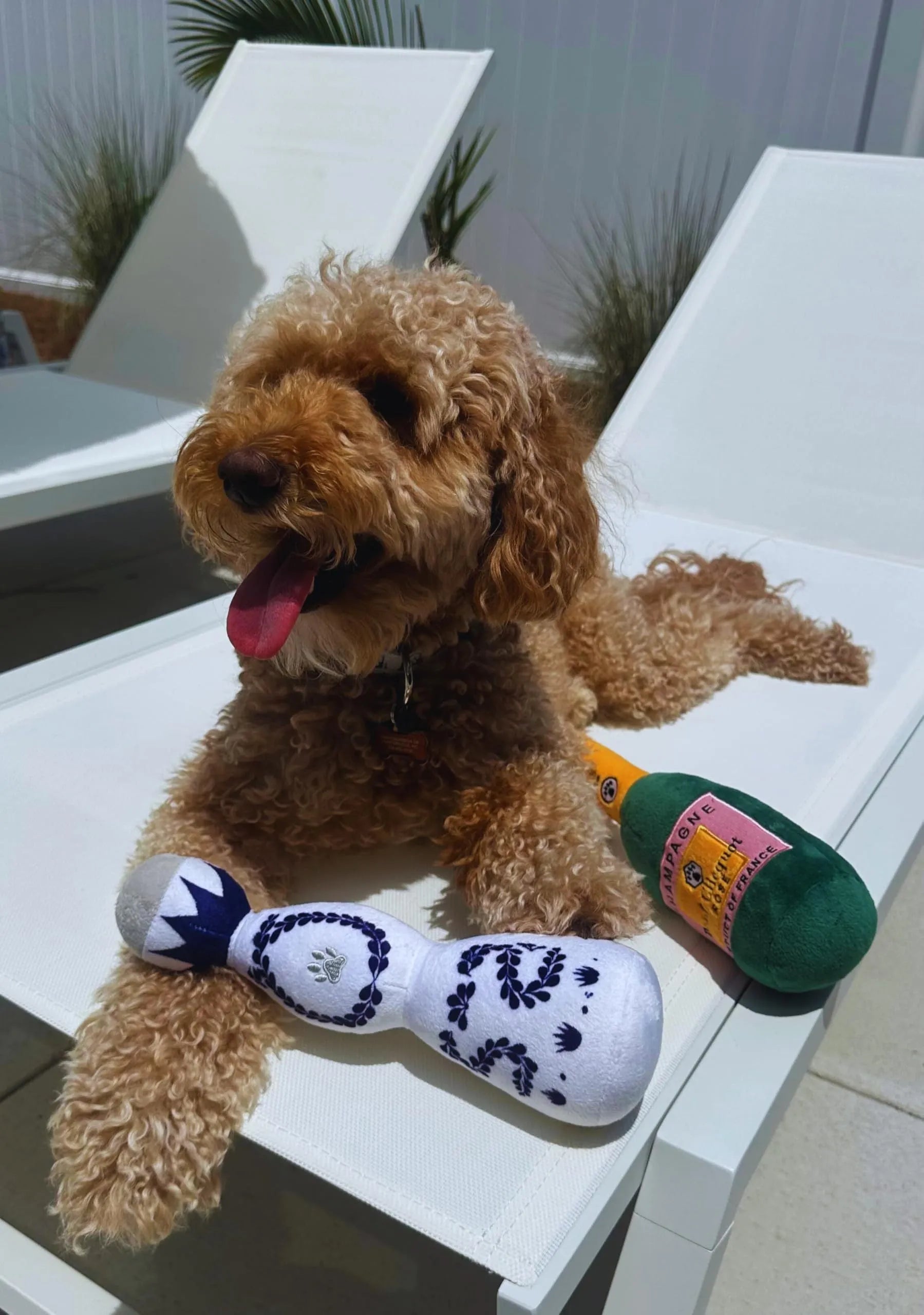 Red and white plush dog toy shaped like a tequila bottle with squeaker