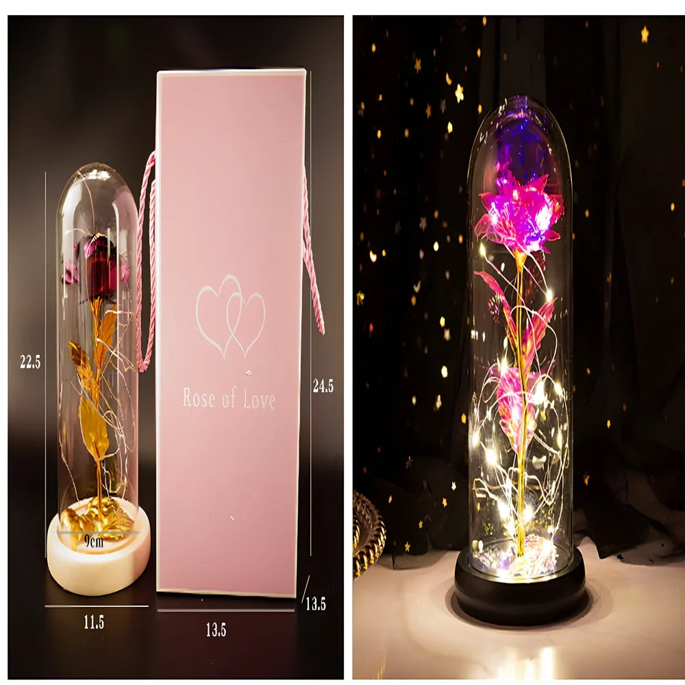 Little Prince rose arrangement under 20x9cm glass dome with gold foil flowers