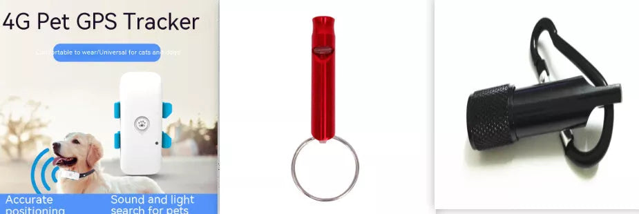 4G Pet Locator GPS Collar with BeiDou tracking for dogs and cats, waterproof design