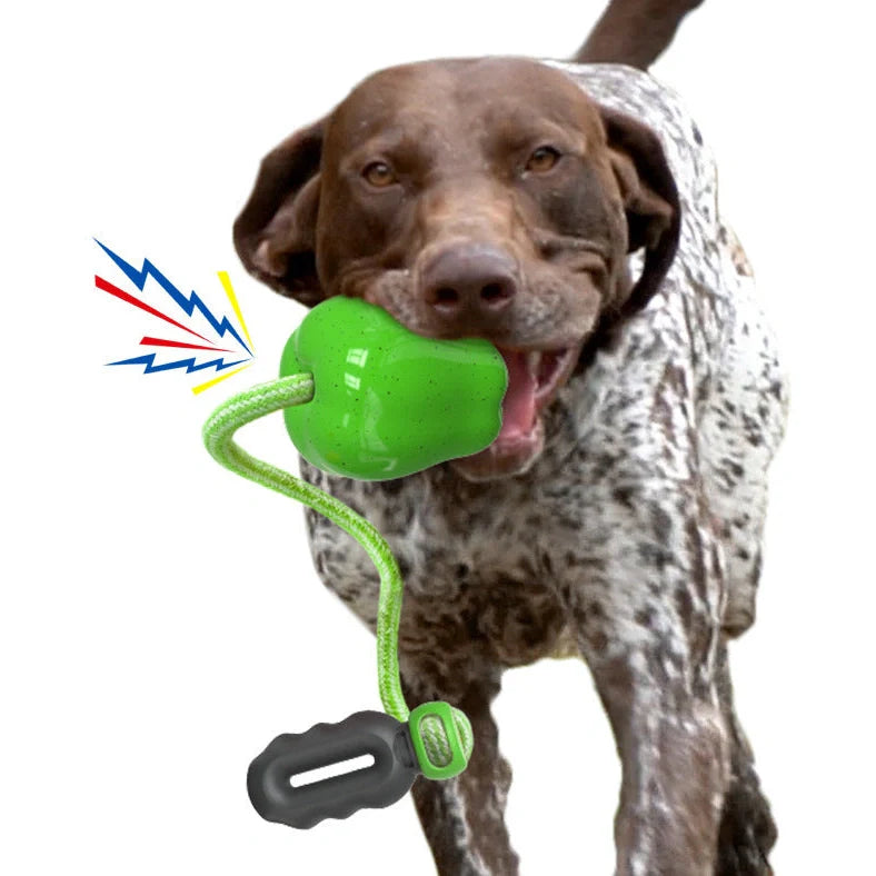 Green squeaky apple-shaped dog toy with treat-dispensing function, approximately 10-12cm diameter