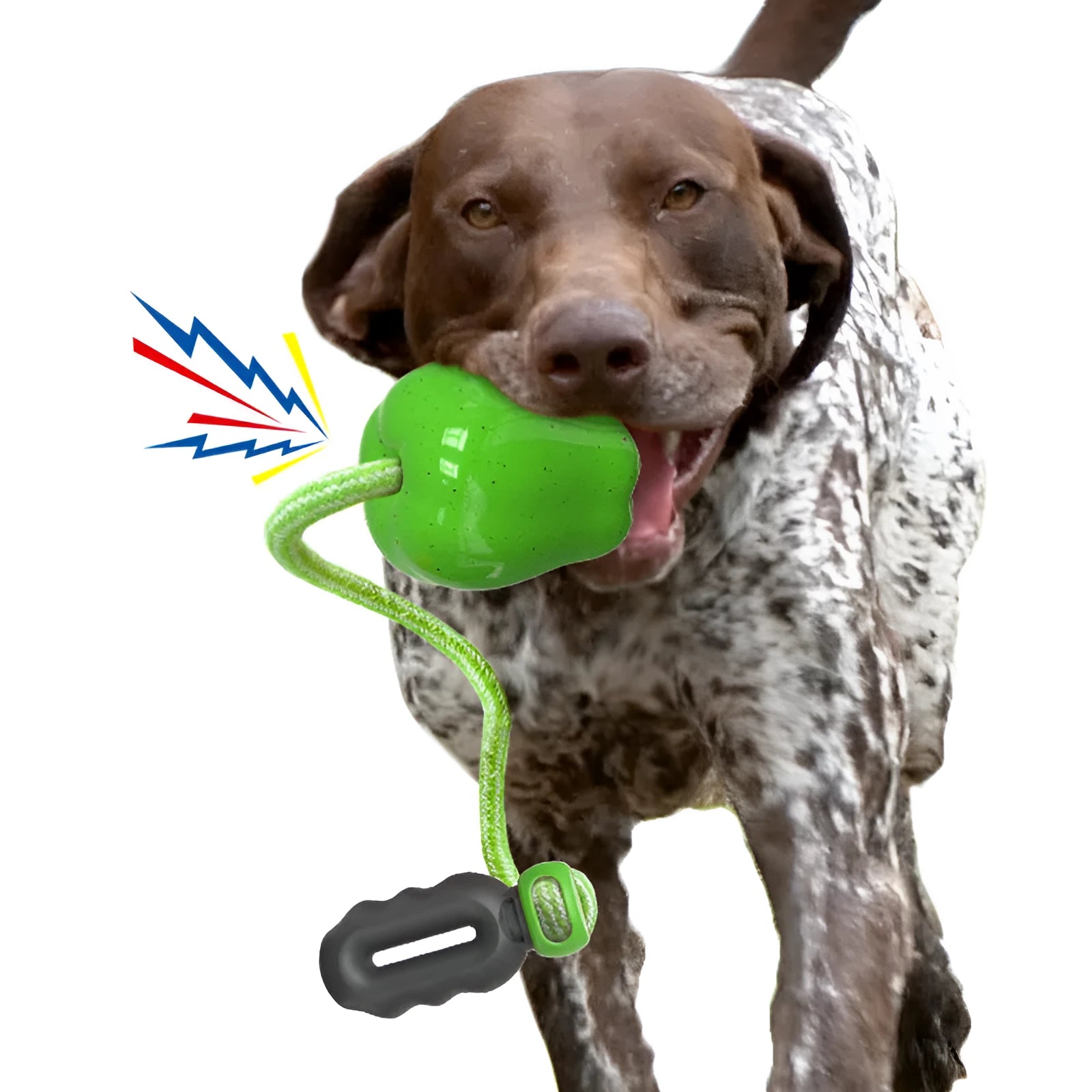 Green durable plastic dog toy shaped like a molar with a treat slot, on grass.