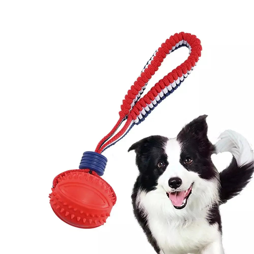 Interactive dog toy ball with rope for teeth cleaning and training