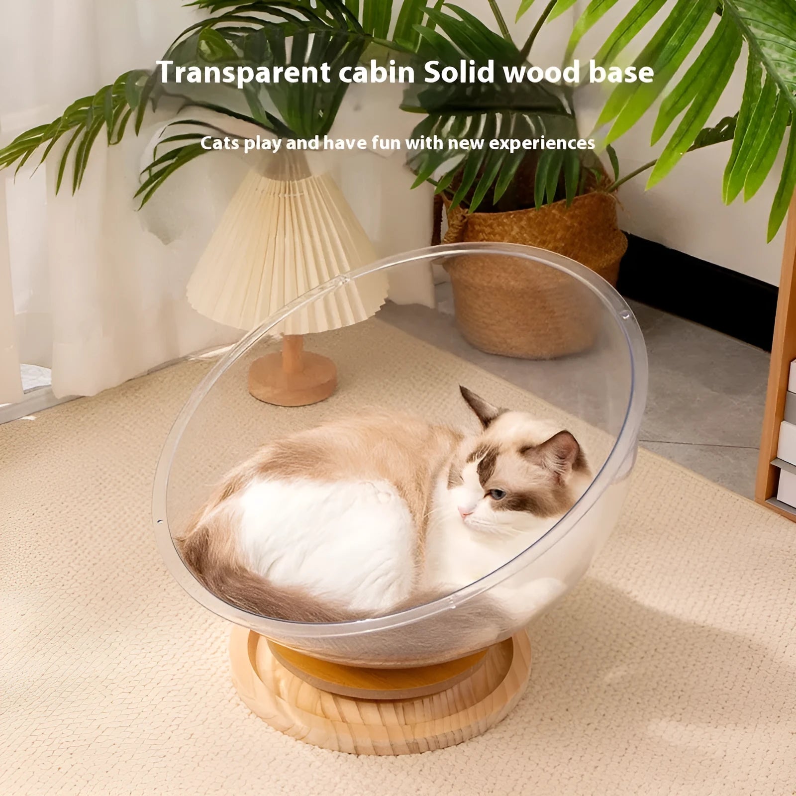 Transparent acrylic cat bath capsule enclosure with turntable base serving as pet bed