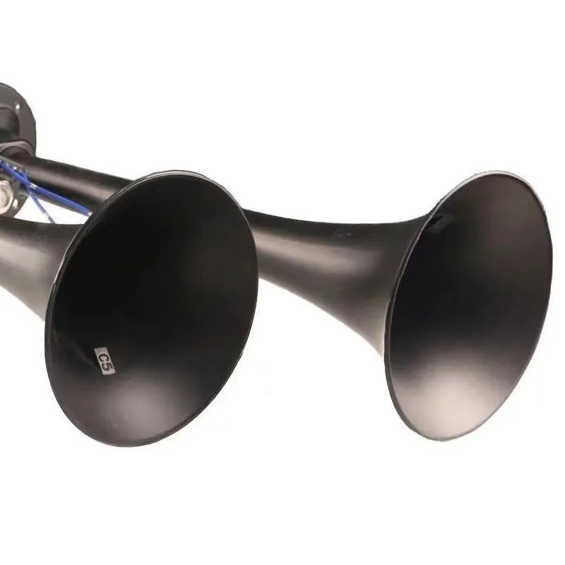 Black dual trumpet air horn with compressor for 12V and 24V vehicle systems
