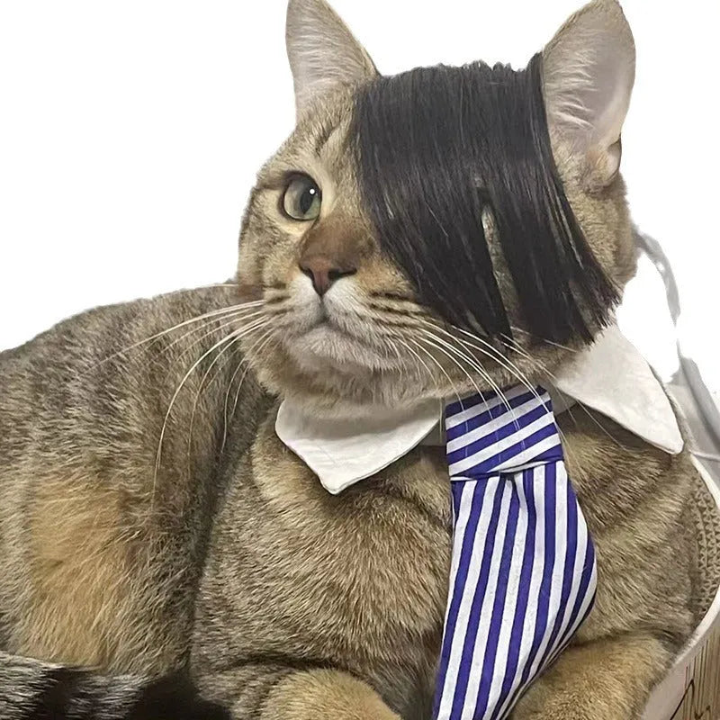 Black polyester cat wig with imitation braid design for feline dress-up and costume occasions