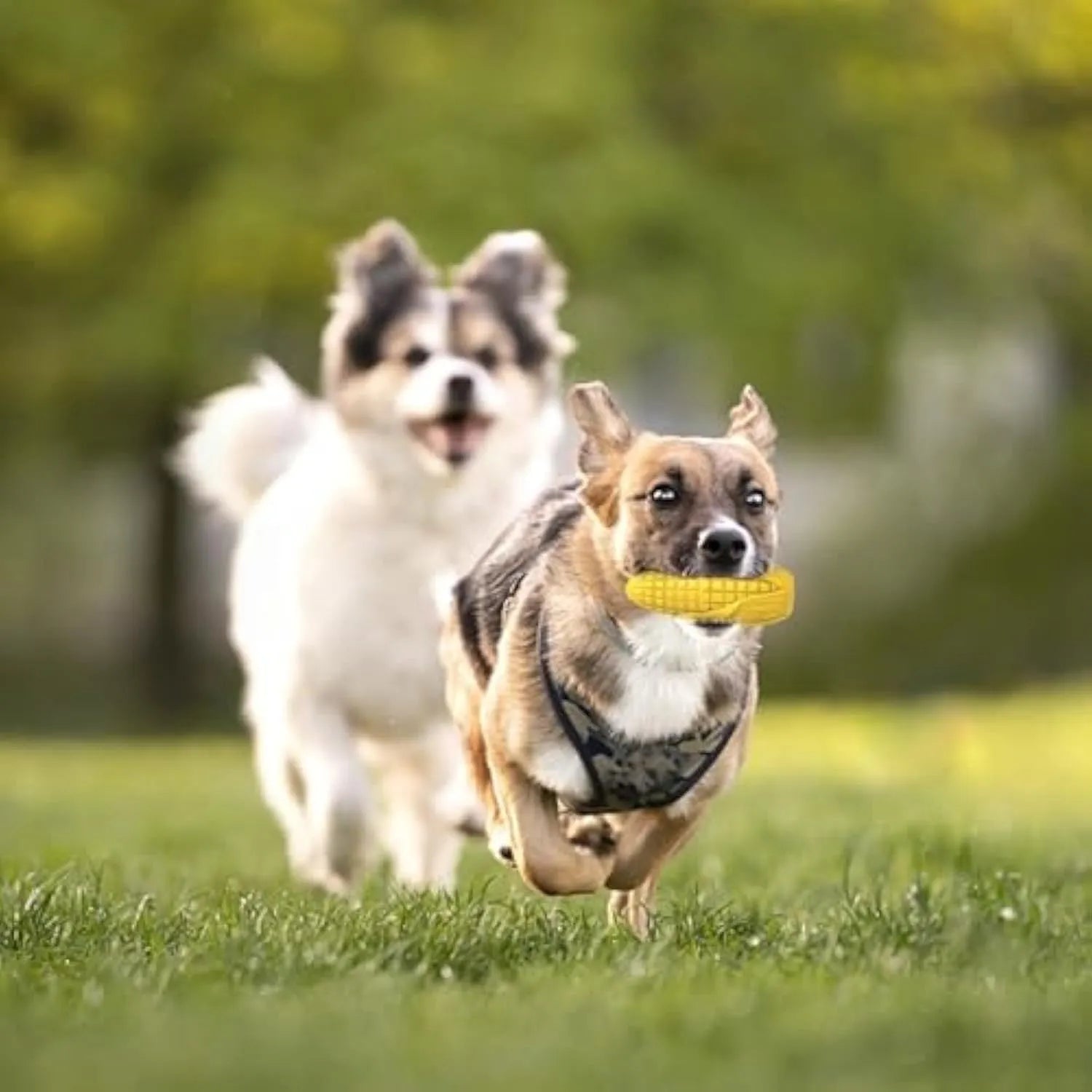 Yellow corn stick shaped dog chew toy with textured grooves, suitable for medium and large breed dogs