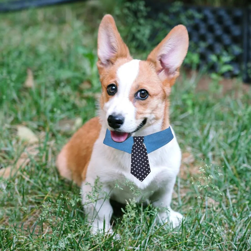 Blue denim dog collar with white star pattern, styled as an adjustable bow tie for formal pet wear.
