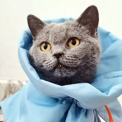 Soft blue adjustable Elizabethan recovery cone collar for a cat or small dog on a white background.