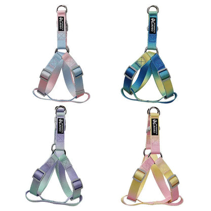 Gradient colour nylon dog leash showing pink-blue colour transition with metal attachment clip