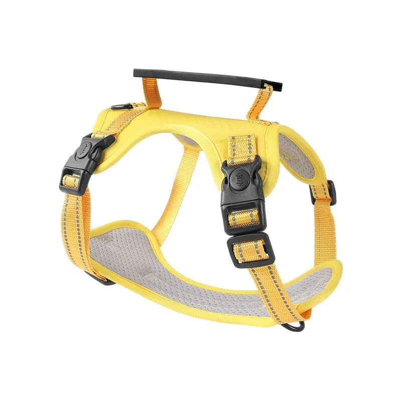 Adjustable polyester dog harness with front D-ring in Lake Blue colour on medium-sized dog
