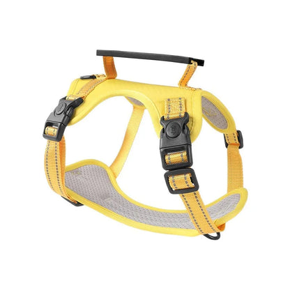 Adjustable polyester dog harness with front D-ring in Lake Blue colour on medium-sized dog