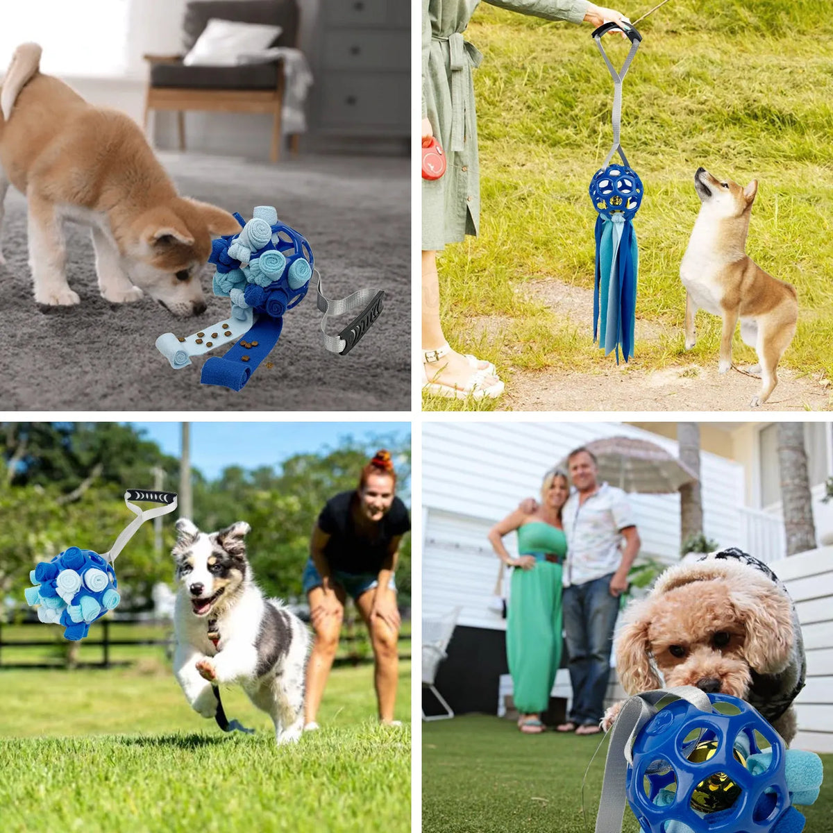 Interactive hollow ball pet toy with TPR sound in five colour options