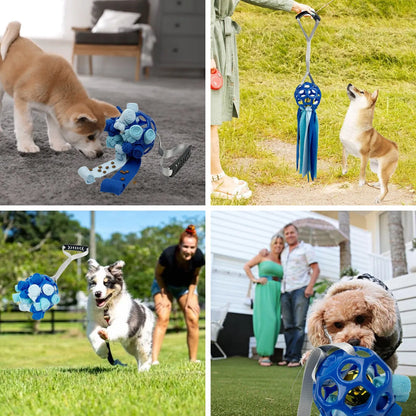 Interactive hollow ball pet toy with TPR sound in five colour options