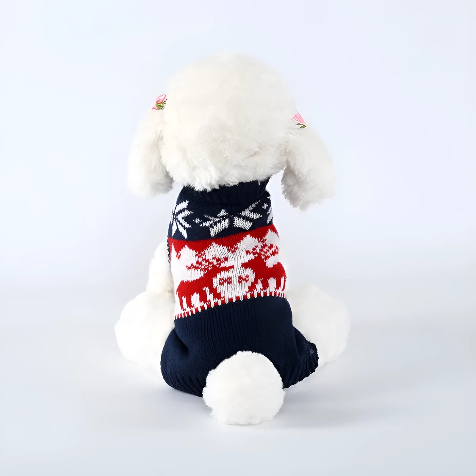 Navy blue knitted Christmas sweater for dogs on a festive background