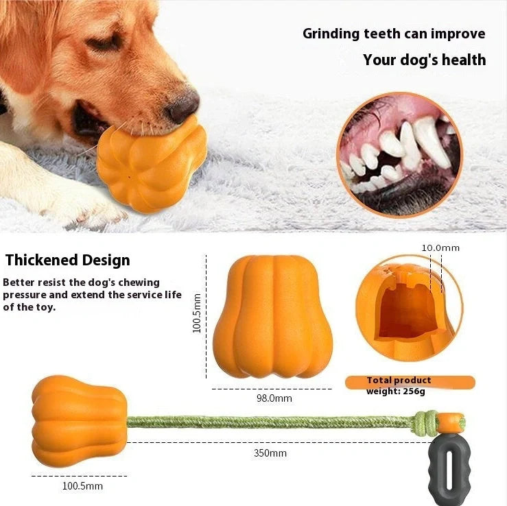 Orange pumpkin-shaped plastic dog toy with attached rope for throwing