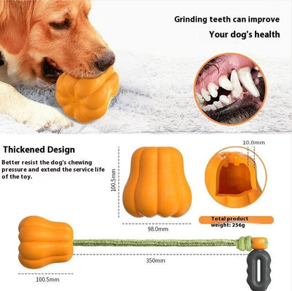 Orange pumpkin-shaped plastic dog toy with attached rope for throwing