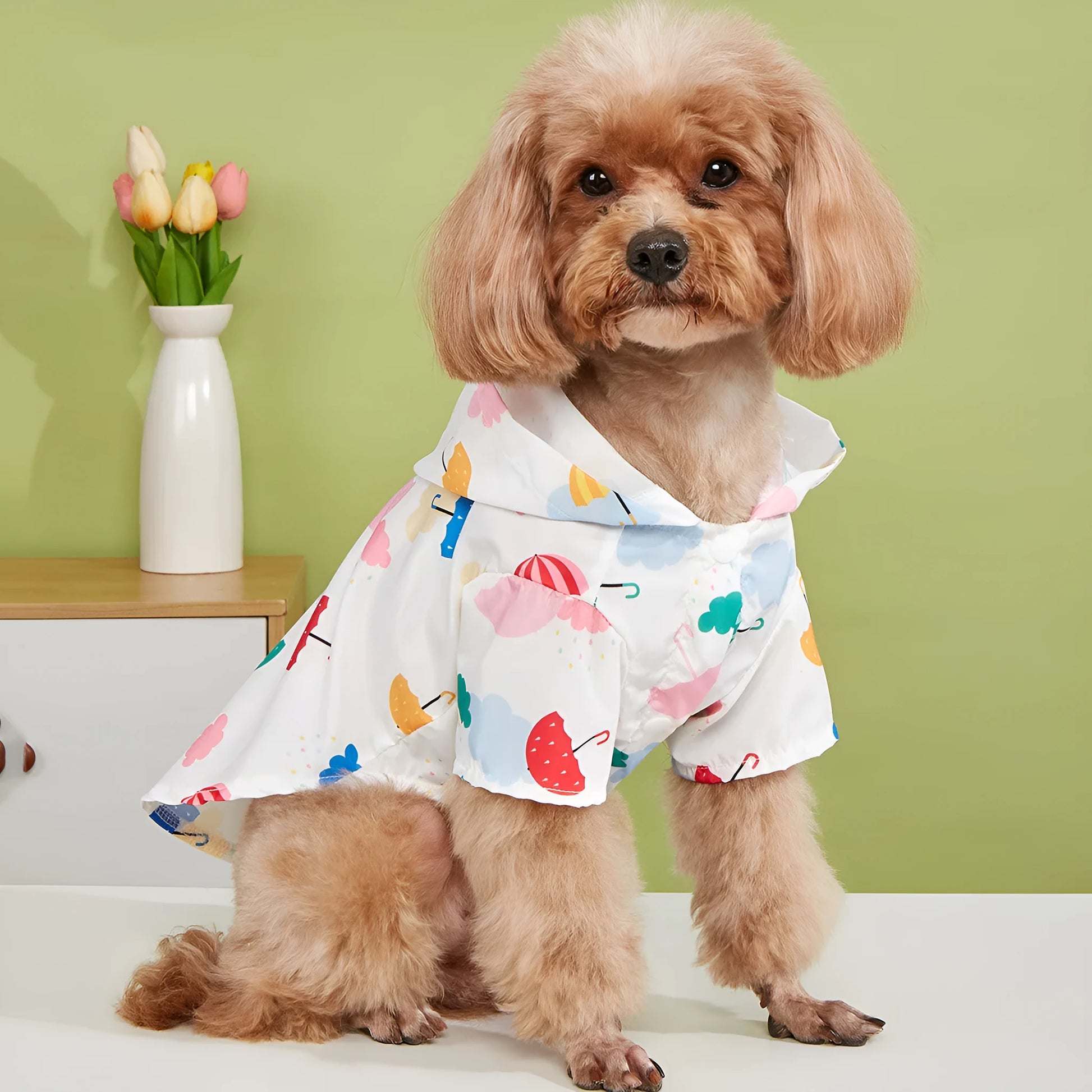Colourful cartoon umbrella pattern pet raincoat for dogs and cats, shown in size L.