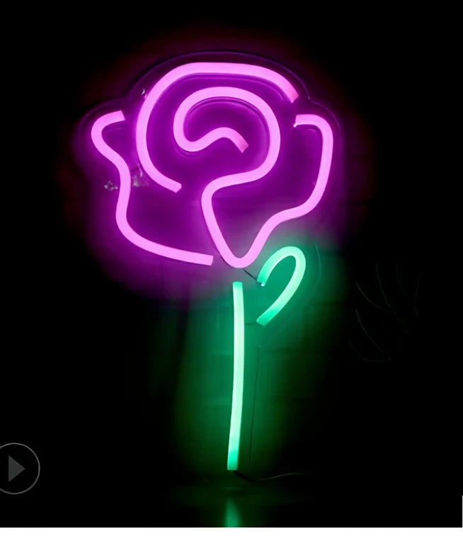 LED neon decorative light with acrylic back panel showing USB power connection and multiple design options