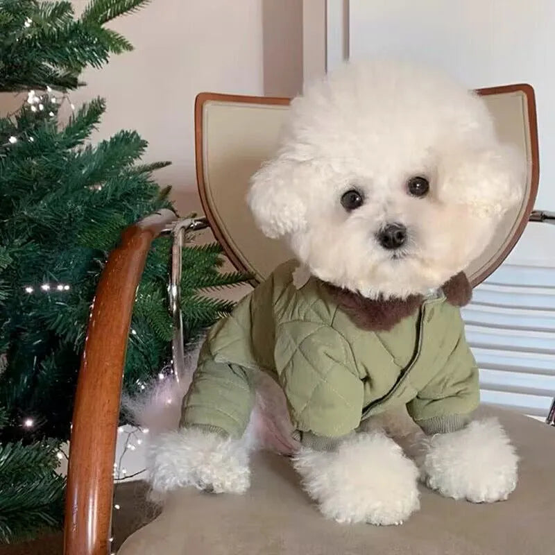 Dog four-legged cotton-padded clothes in small green fish or small white fish, sizes XS to XL