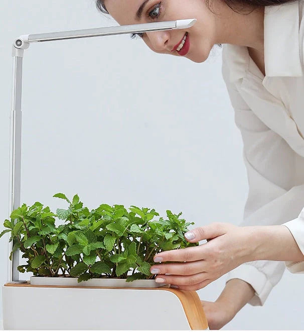 Adjustable Hydroponics Planter with Customizable Grow Lights for Indoor Garden