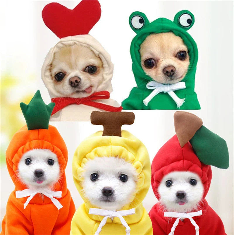 Cozy and stylish fruit-themed dog hoodies in a variety of adorable designs for small breed pets