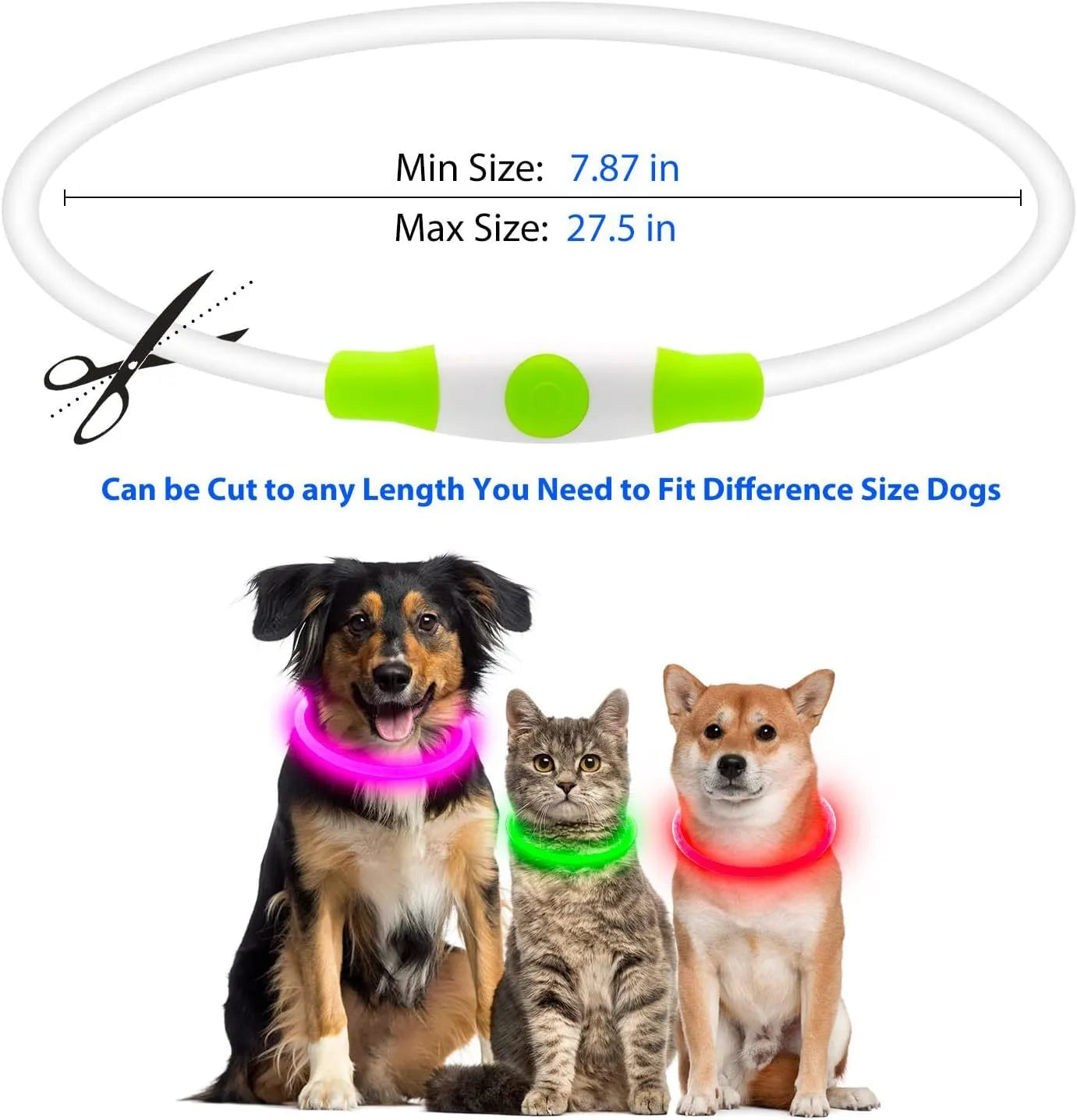 USB-rechargeable LED dog collar with blue glow, adjustable 70cm length, and three flash modes for pet safety.