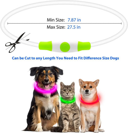 USB-rechargeable LED dog collar with blue glow, adjustable 70cm length, and three flash modes for pet safety.