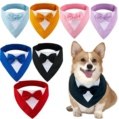 Triangle-shaped pet bib scarf with a bow, shown in a bright colour, displaying the soft fabric and absorbent towelling lining.