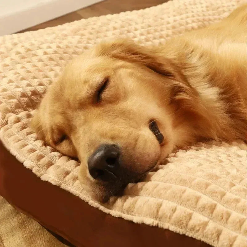 Coffee coloured detachable fleece dog bed for large breeds, shown with blanket removed.