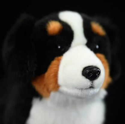 Black Bernese Mountain Dog plush toy showing 29cm length and accurate breed proportions