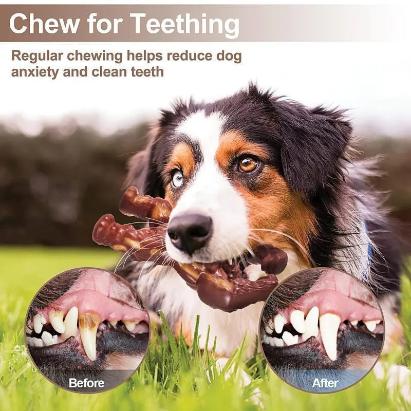 Dog molar nylon chewing toy for teething puppies and adult dogs with beef flavour, durable nylon construction, measuring 10.7 cm in length by 17.2 cm in width and 5 cm in height, made in scarlet colour