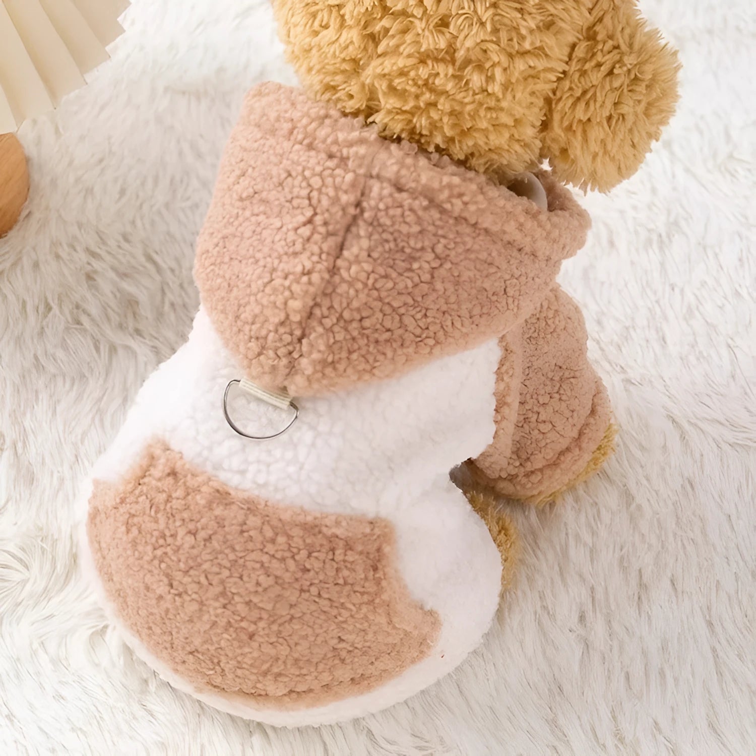 Pet hooded cotton-padded winter coat in blue or brown colour for dogs and cats