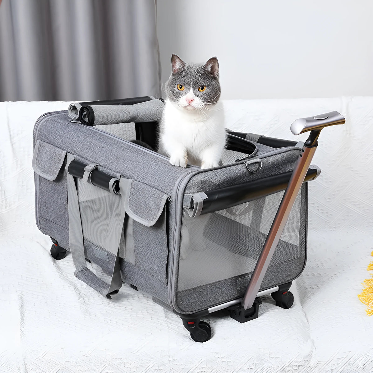 Foldable Oxford fabric pet trolley bag, 17.50kg load rating, shown in solid beige, blue, dark grey, grey and pink