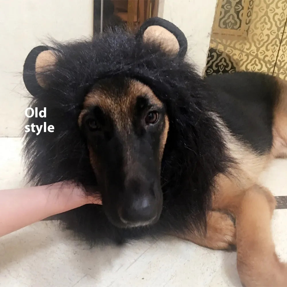 Dog wearing adjustable lion headdress costume with elastic neckband in light brown colour