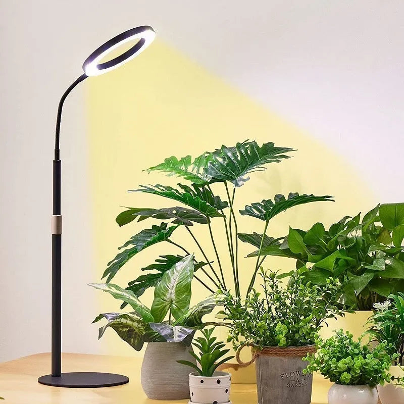 6-inch diameter Angel Ring plant grow light with retractable stand showing height adjustment mechanism