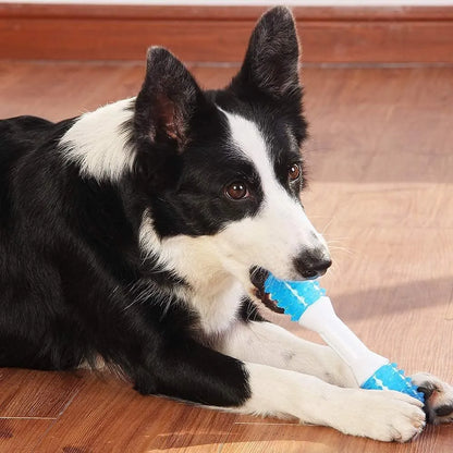 Dual-colour puppy teething chew toy for dental health, made from TPR and PU materials, suitable for dogs aged 2 to 8 months