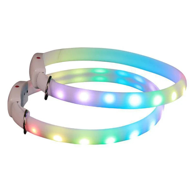 Bright LED pet collar with adjustable strap and ultra-visible lights for safe nighttime walks